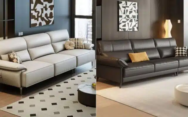 Black, White Or Brown Colored Sofa