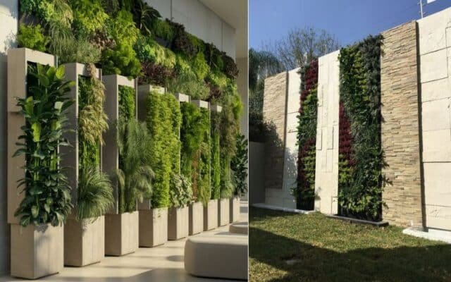 Vertical Garden: Wall Design for a Refreshing Touch